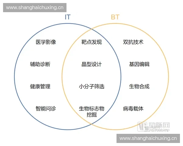 以智能影像与数据融合驱动体育赛事转播技术新变革发展趋势探索路径