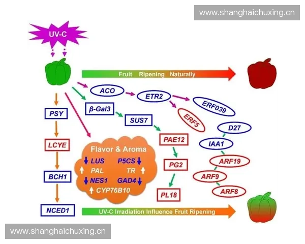 围绕对抗调控构建多层次协同机制的系统性路径研究与实践探索前沿分析
